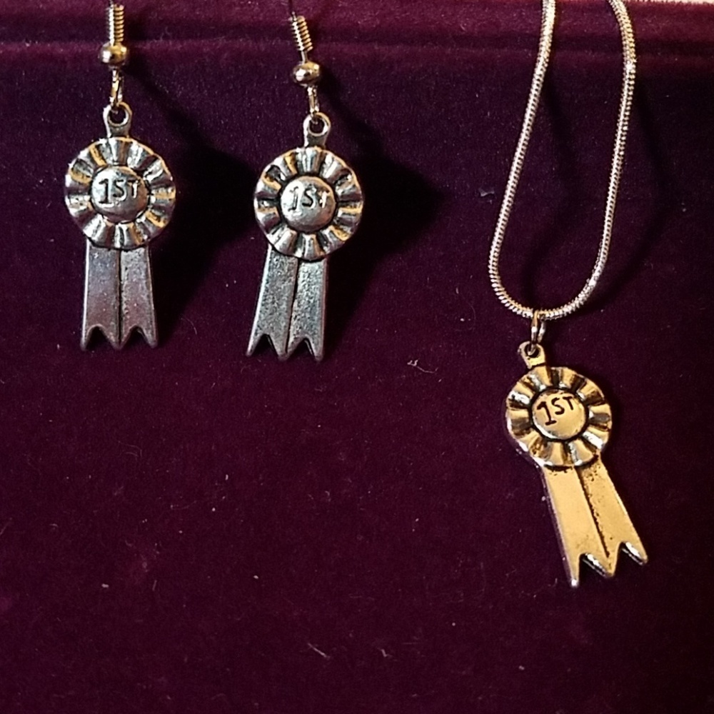 1st Place Silver Tone Necklace & Earring Set 24"